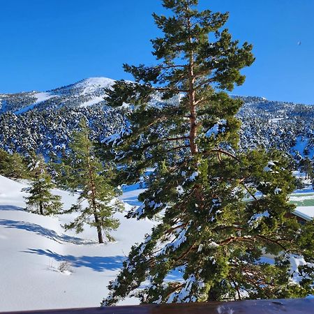 Greolieres Les Neiges Daire Dış mekan fotoğraf