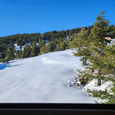 Greolieres Les Neiges Daire Dış mekan fotoğraf