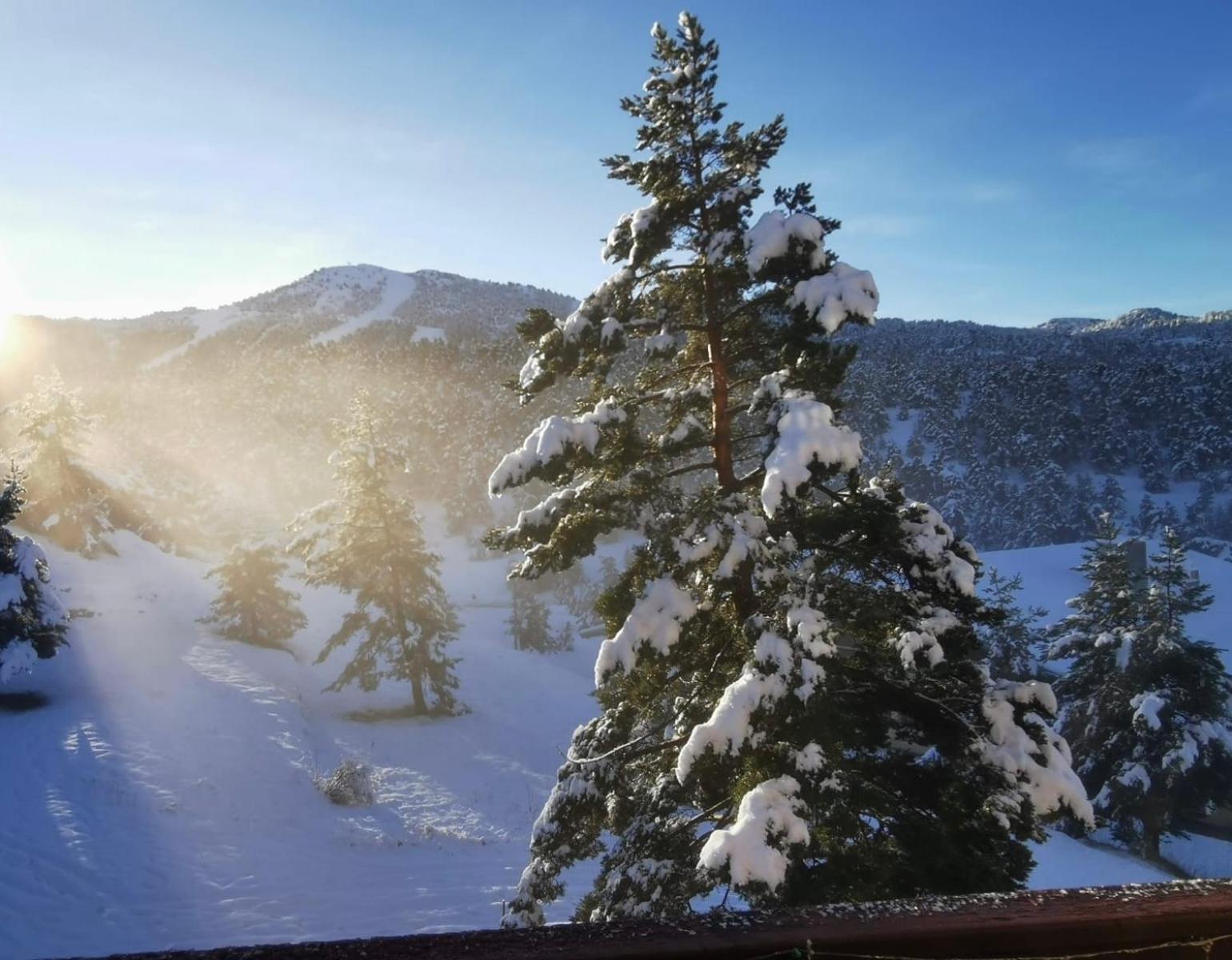 Greolieres Les Neiges Daire Dış mekan fotoğraf