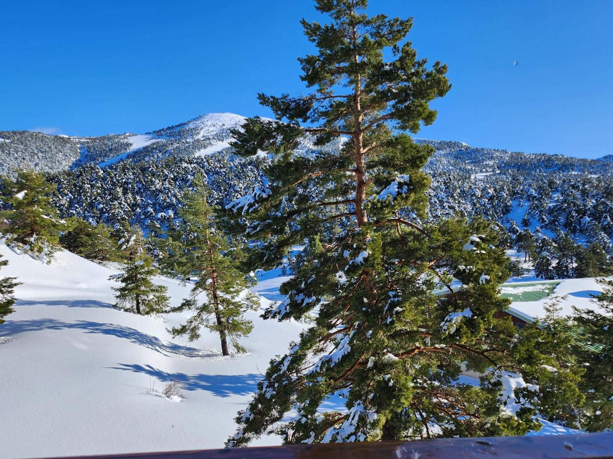 Greolieres Les Neiges Daire Dış mekan fotoğraf