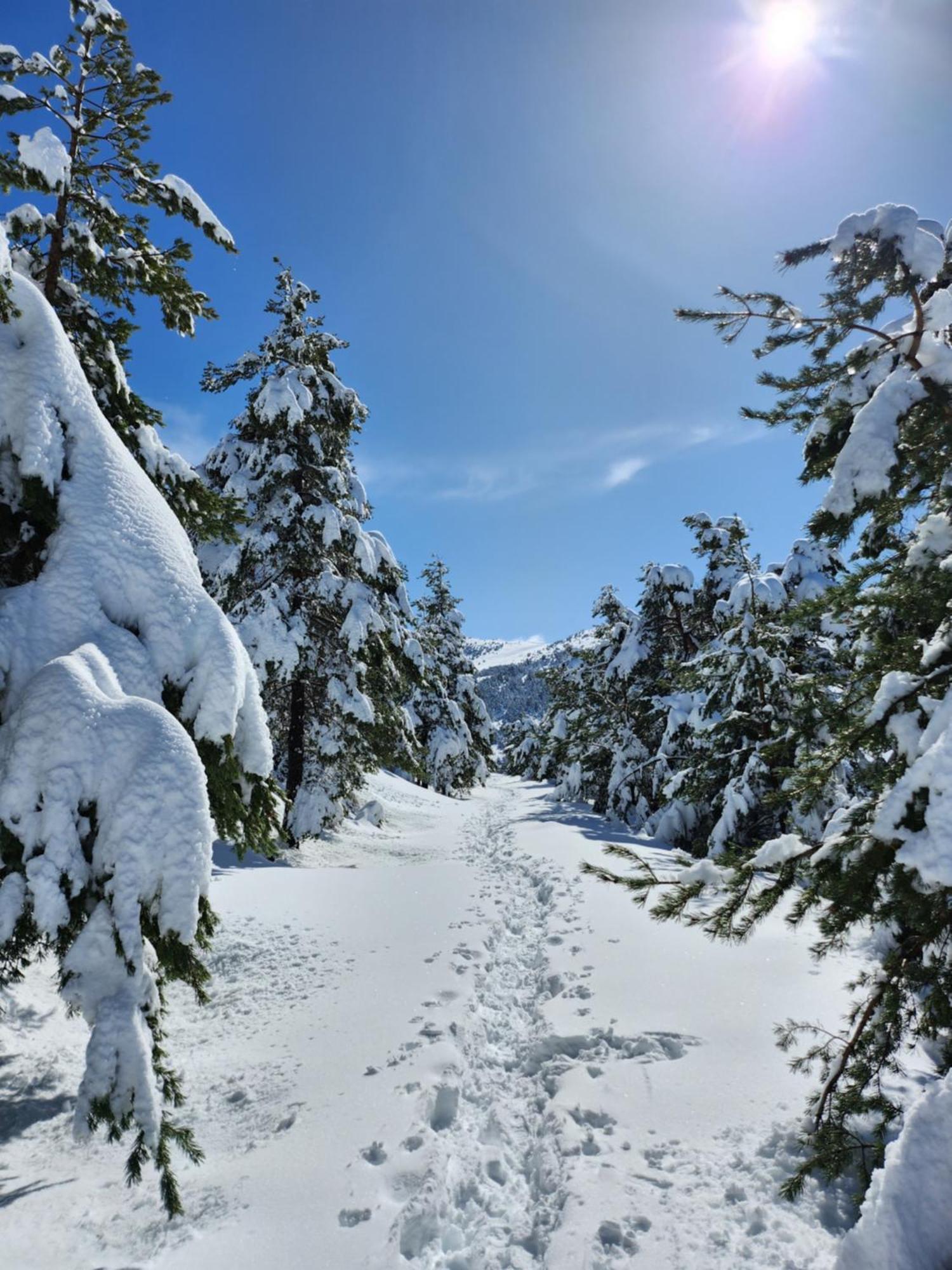 Greolieres Les Neiges Daire Dış mekan fotoğraf